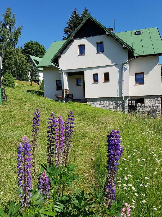 U Kobru Apartment Špindlerŭv Mlýn Luaran gambar